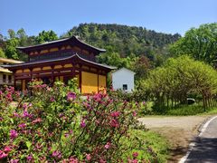 -木兰云雾山