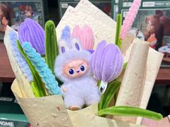 -泡泡玛特POPMART(天环购物中心店)