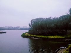 -大兴滨河森林公园