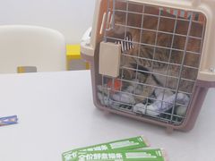 -拜鲁耶动物诊疗中心·宠家动物医院