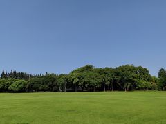 -上海滨江森林公园