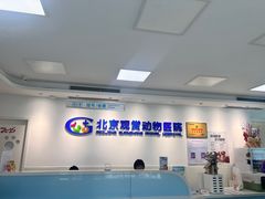 -北京观赏动物医院·24小时大型综合·猫专科·异宠专科