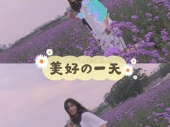 -光明小镇欢乐田园