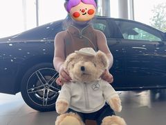 -奔驰利星行(北京花乡店)