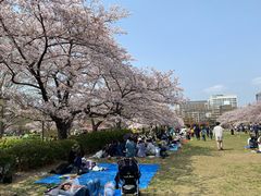-帝京日语(春熙路旗舰校区)