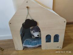 -Husky Go! 哈士奇体验馆·宠物咖啡厅狗咖