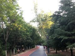 -大兴滨河森林公园