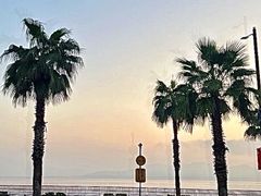 -晓琦农家菜馆·地道农家菜