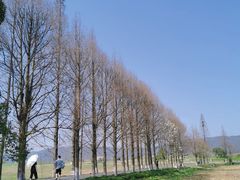 -良渚古城遗址公园