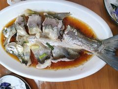 -晓琦农家菜馆·地道农家菜