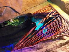 -醉小酒馆·川菜·江湖菜·重庆菜(观音桥旗舰店)