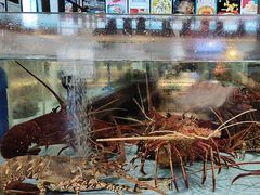 -阿伟海鲜楼·福建菜(延寿店)