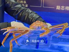 -东味北道熟成·炭火烤肉(九龙店)
