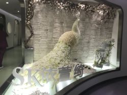 -依萱绮医疗美容