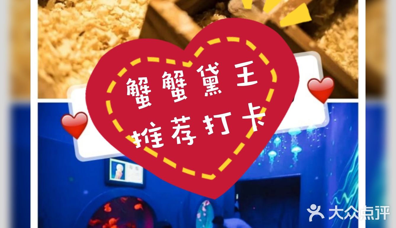 趣味萌宠小天地