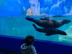 -多彩贵州城极地海洋世界