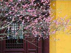-慧因高丽寺