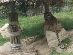 -芽庄珍珠岛游乐园