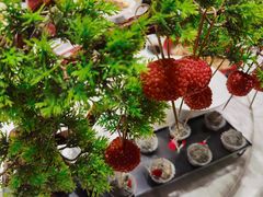 一骑红尘妃子笑-宴昆山·私房菜(春晖店)