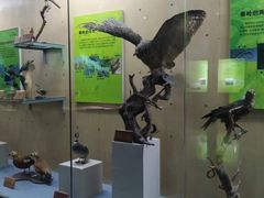 -陕西自然博物馆