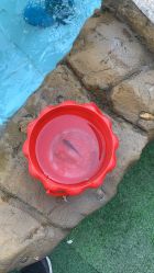 -可可天空农场(中大店)