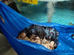 -大家发海鲜城夜排档(华山中路店)