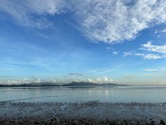-深圳湾公园(南山区)