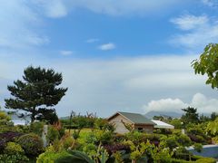 -舟山朱家尖绿城威斯汀度假酒店