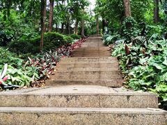 -南岗山公园