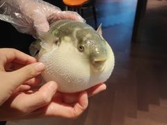 -肆月河豚·淮扬菜·湘菜(华天店)