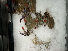 -渔娘渔家丹东海鲜(东直门店)