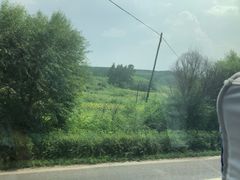 -乌兰布统草原