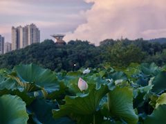 -梅溪湖城市岛