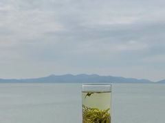 碧螺春-古尚锦酒楼·水上餐厅