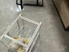 -半岛宠物医院24小时·内窥镜·牙科·碎石中心(府城大道店)