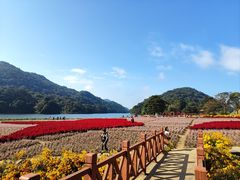 -广州市石门国家森林公园