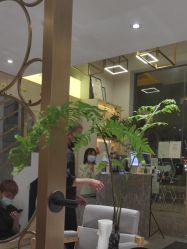 点击看大图 -菲·木田moontin造型salon