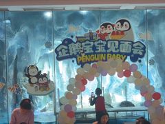 -帝企鹅自助餐厅•儿童岛•真企鹅(长隆企鹅酒店)