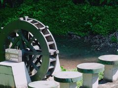 -芦沟竹海