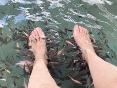 -天芳悦潭度假村温泉