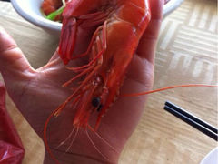 iphone_upload_pic-沙扒湾