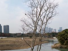 -尚贤河湿地
