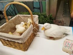 -中粮·祥云小镇