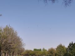 -潇河湿地公园