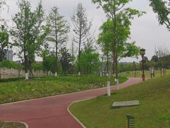 -眉山湿地公园(东坡区)