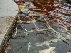 -罗浮山嘉宝田森林温泉度假酒店