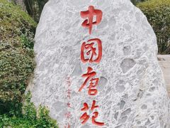 -中国唐苑