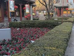-白家大院·王府宫廷菜(苏州街店)