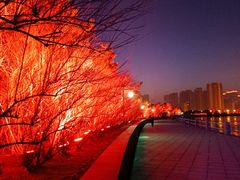 -悦海公园