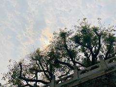 -广州莲花山旅游区